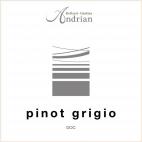 Cantina Andrian - Pinot Grigio Alto Adige 2022